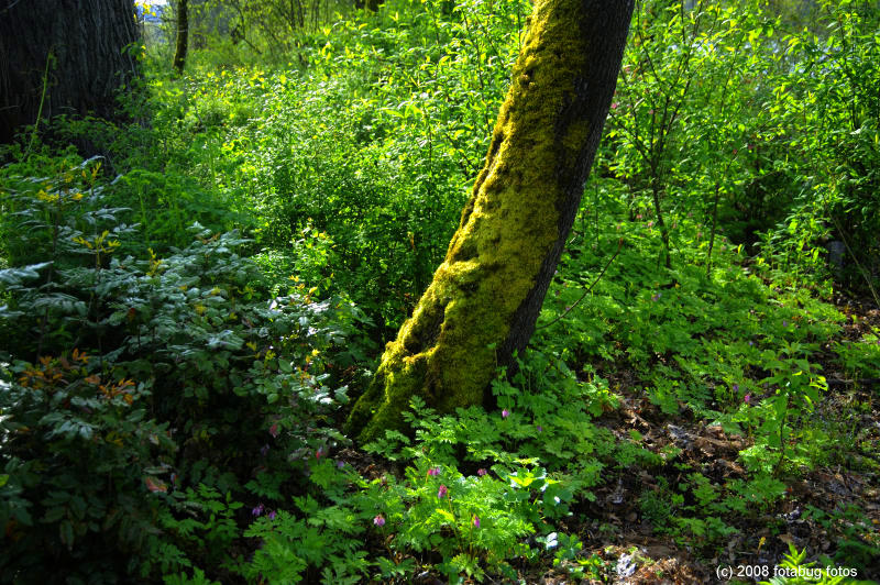 D3_042508_255