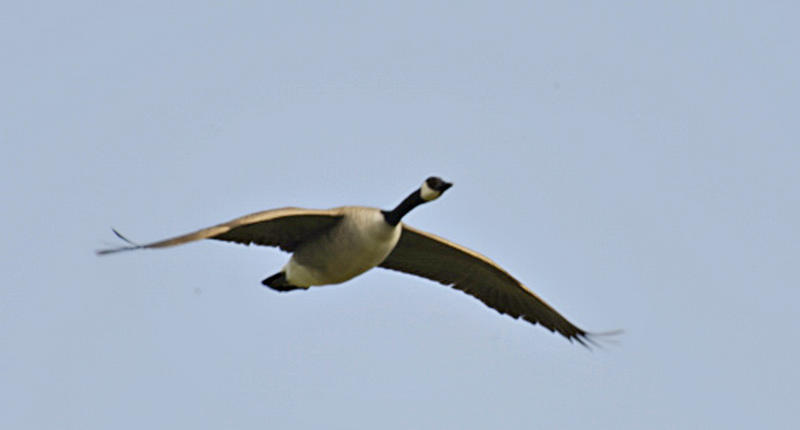 D3_042508_481crop.jpg