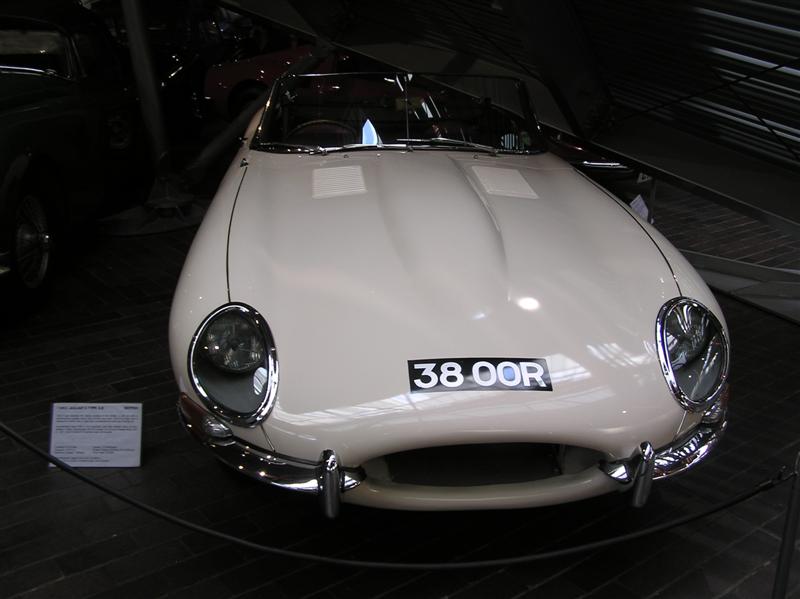 P5180117 (Medium).JPG