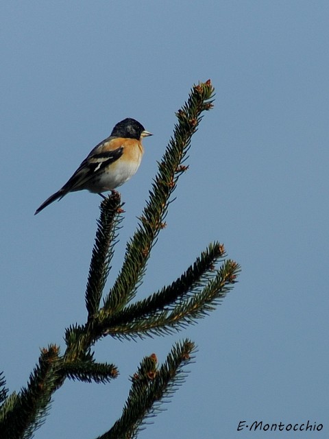 DSC_2271.JPG