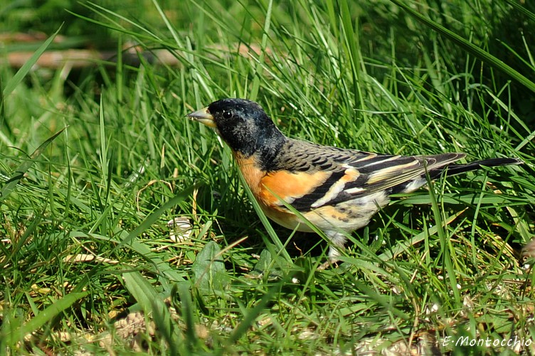 DSC_2373.JPG