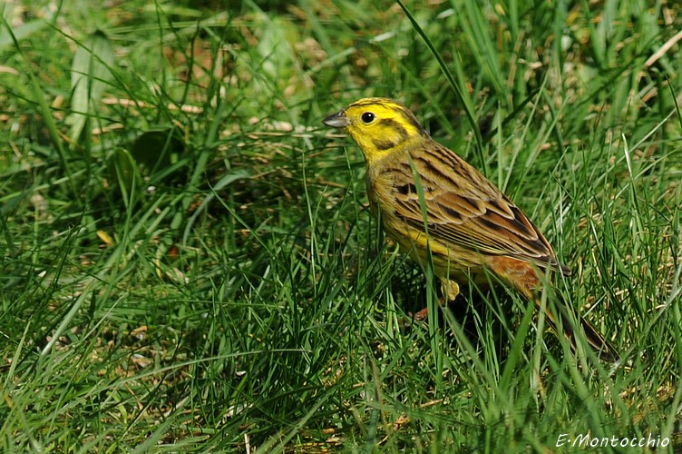 DSC_2395.JPG