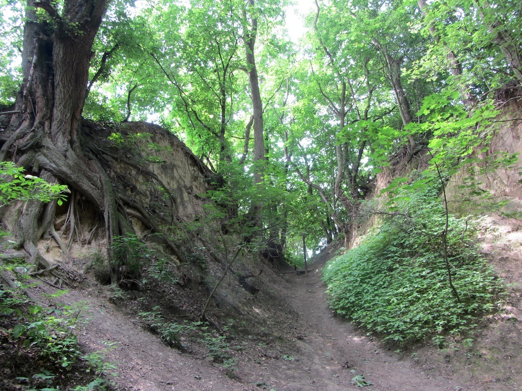 ...to take a shortcut to the castle