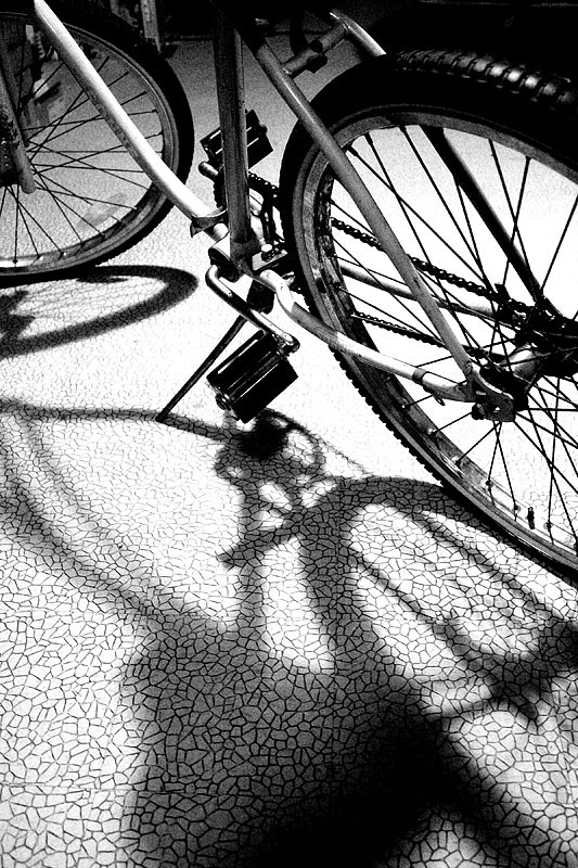 Bike Shadow