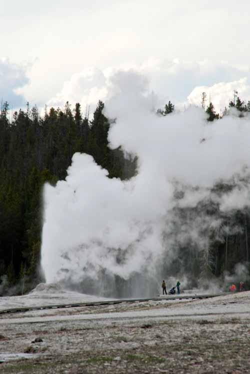Springtime in Yellowstone & Grand Tetons National Parks