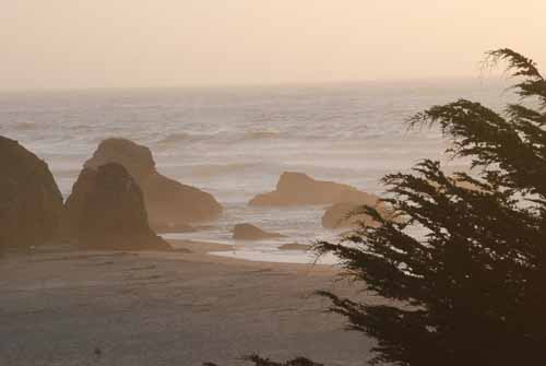 Mendocino Coast