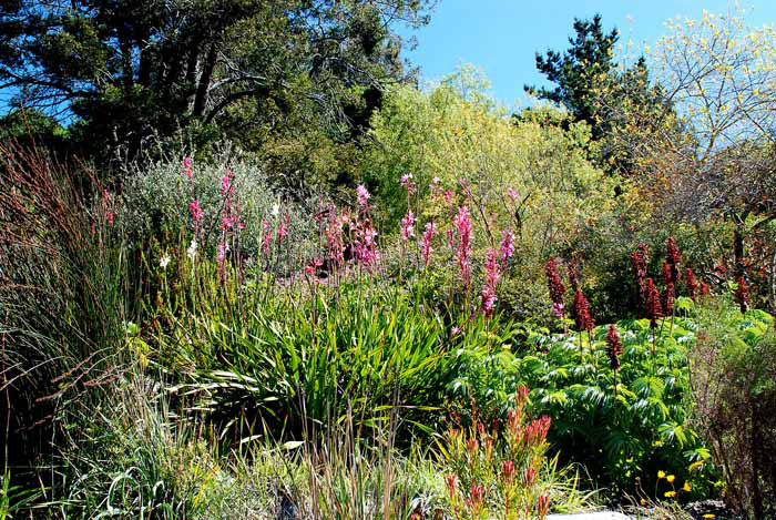 UC Botanical Gardens