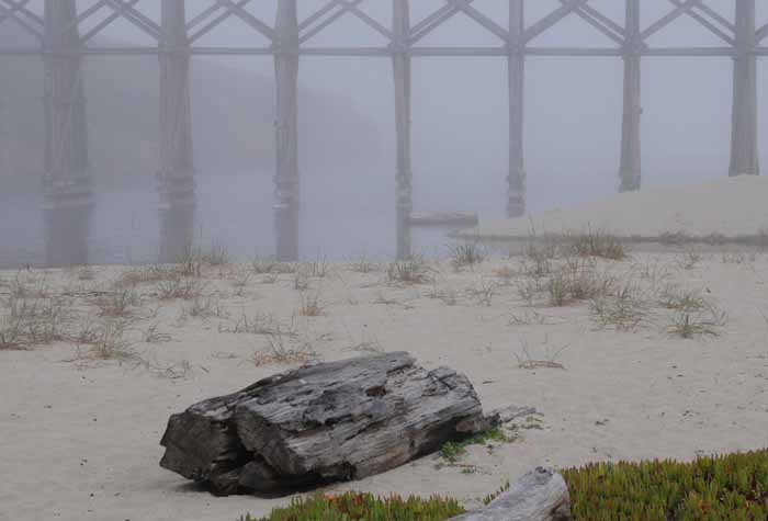 Fort Bragg,CA...coastal foggy day