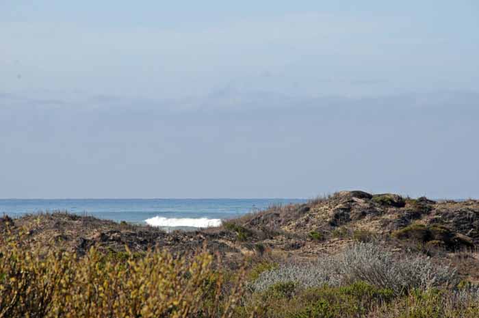 Californias Central Coast