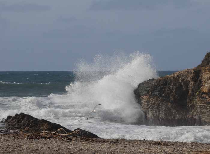 California's Central Coast