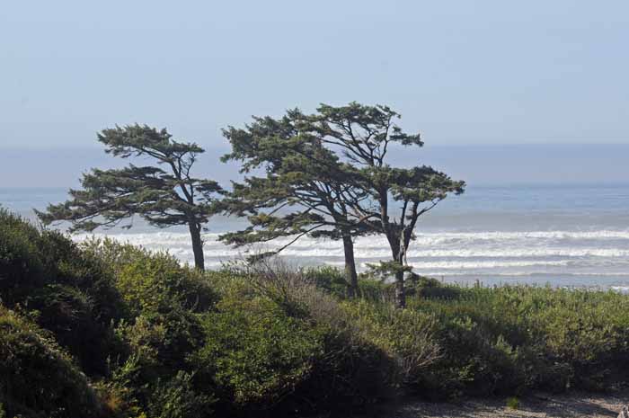 Northern California's windy coast
