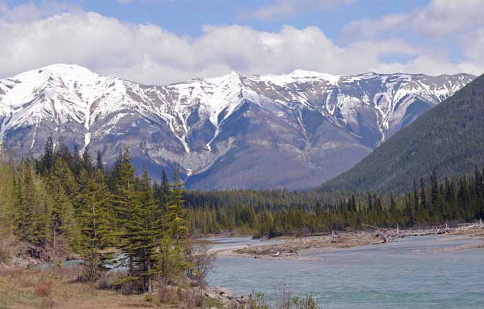 En route to Jasper National Park