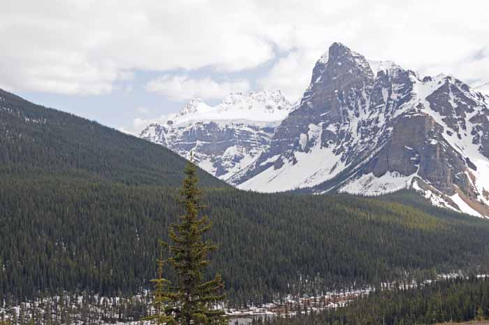 En route to Jasper National Park