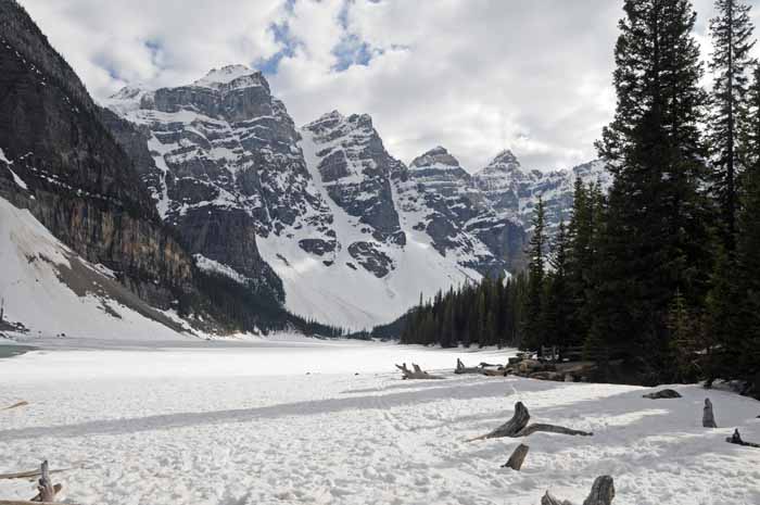 En route to Jasper National Park