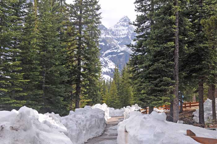 En route to Jasper National Park