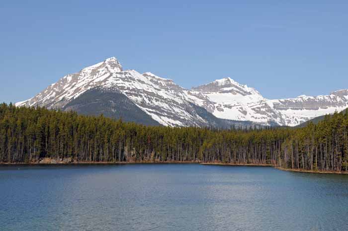 En route to Jasper National Park