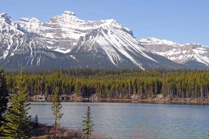 En route to Jasper National Park