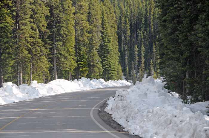 Jasper National Park