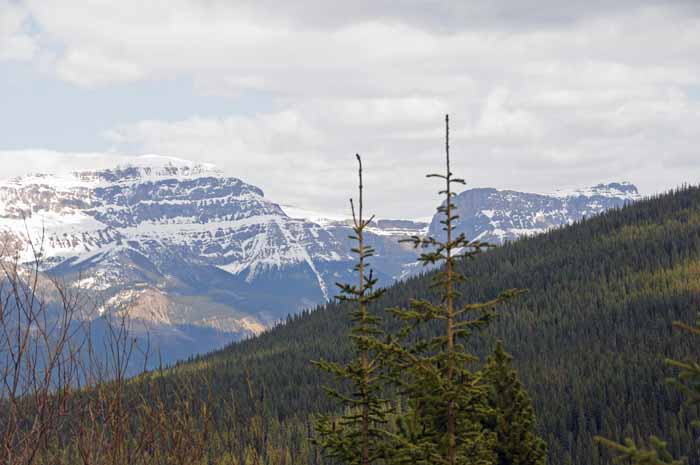 Jasper National Park