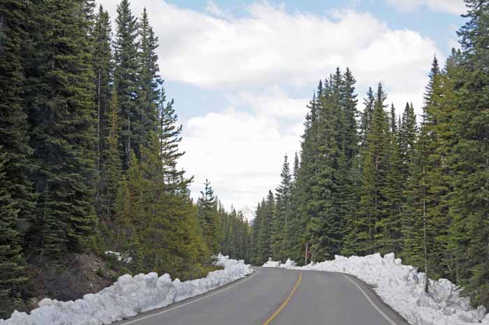 Jasper National Park