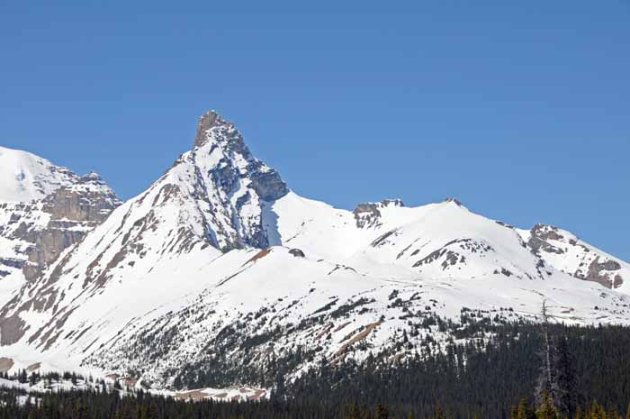 Jasper National Park