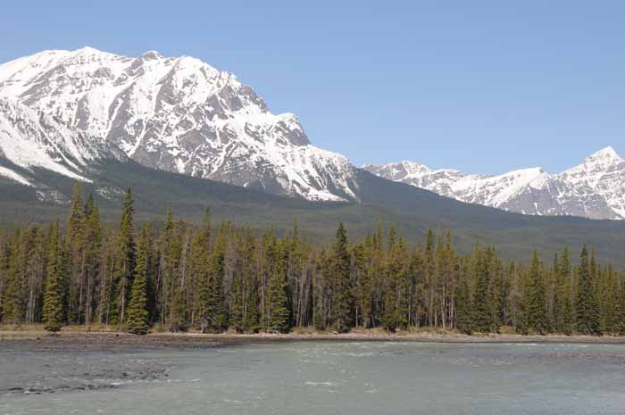 Jasper National Park