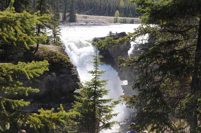 Jasper National Park
