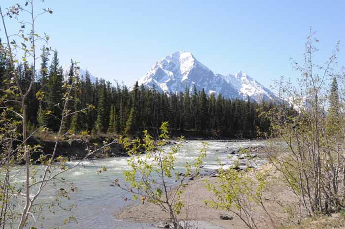 Jasper National Park