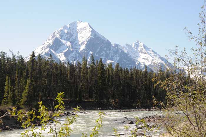 Jasper National Park