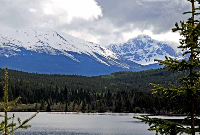 Jasper National Park