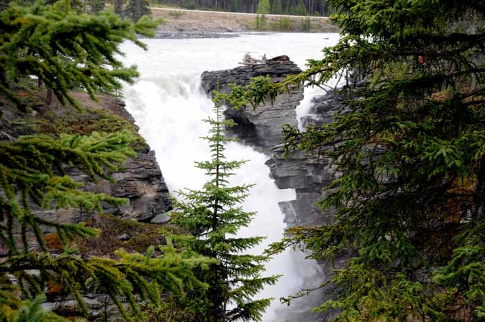 Jasper National Park