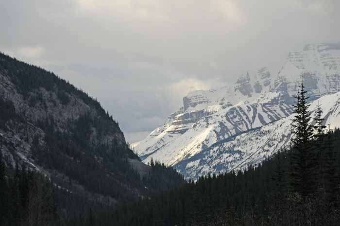 Jasper National Park