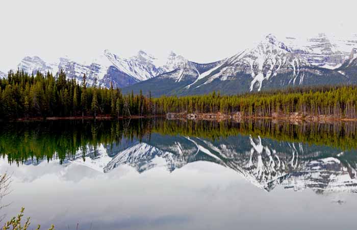 Jasper National Park