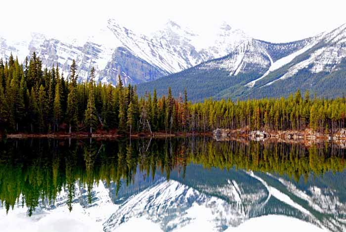 Jasper National Park