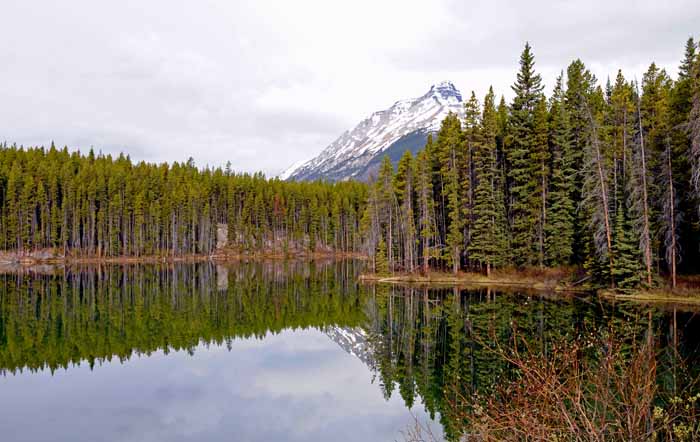 Jasper National Park
