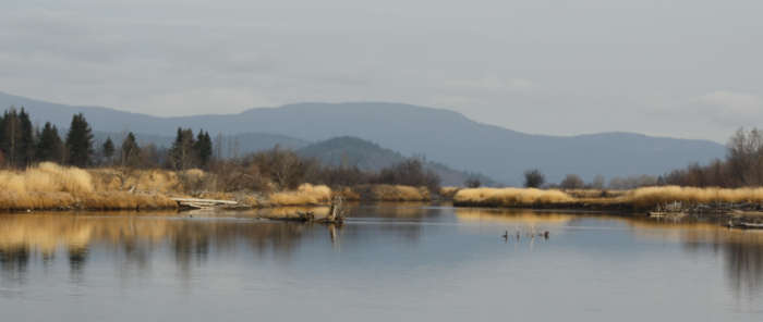 Stellako River.jpg