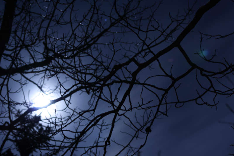 Winter Moon.jpg