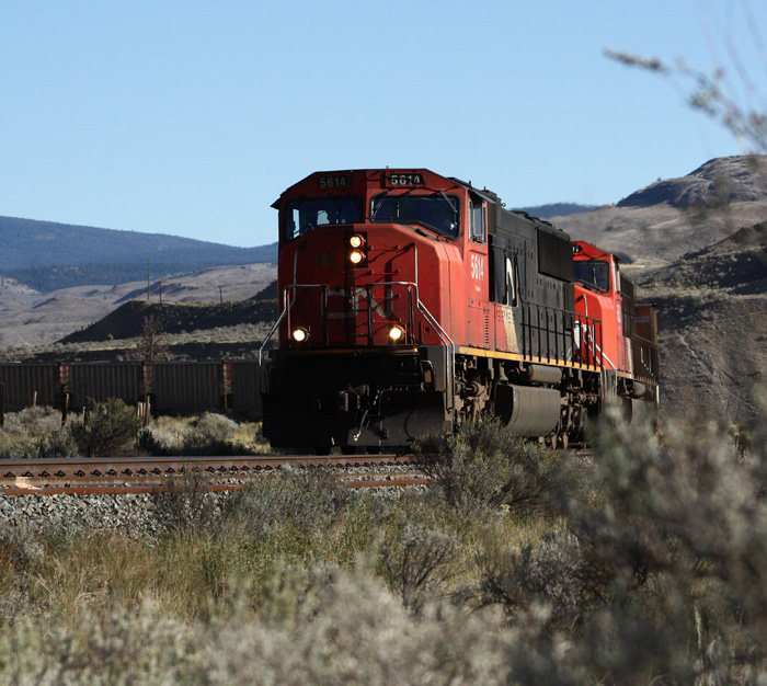 Desert Train.jpg