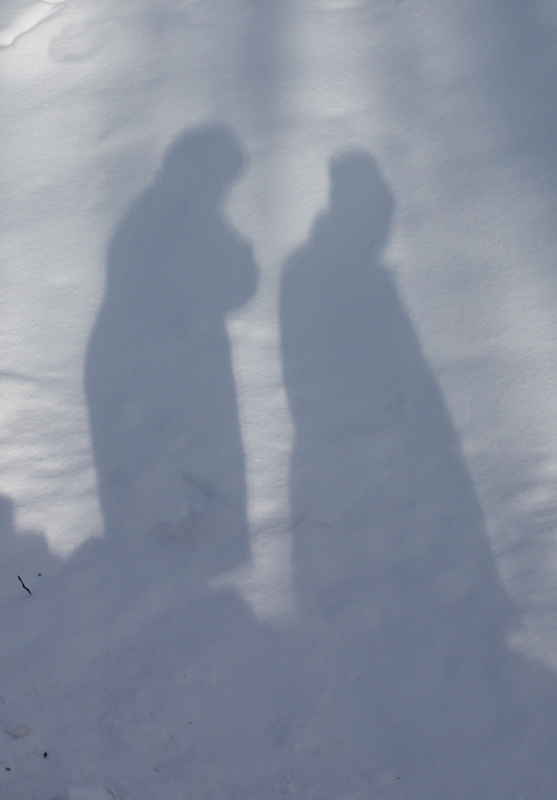 Snowy Walk.jpg