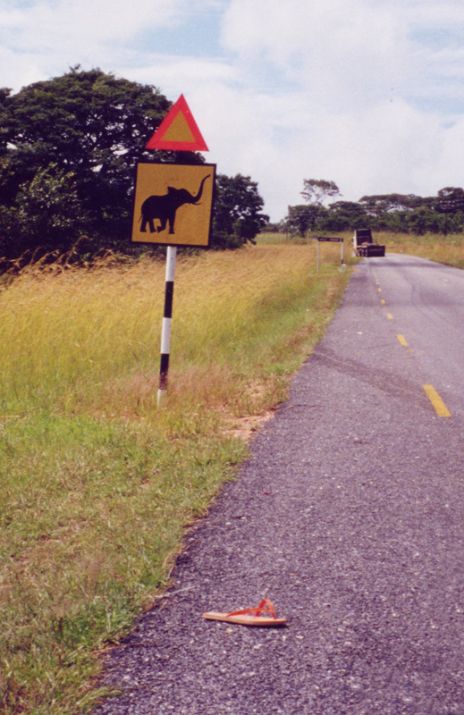 Beware of Elephants