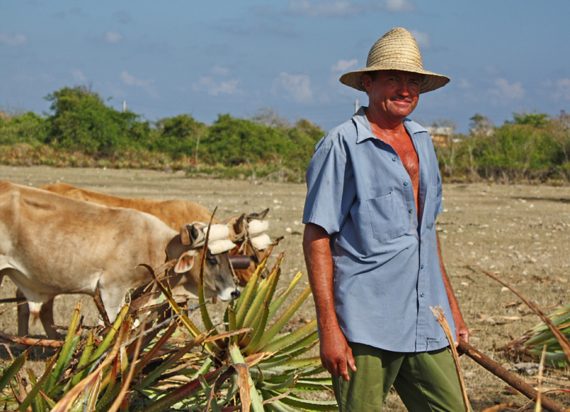 Farming Cuba3.jpg