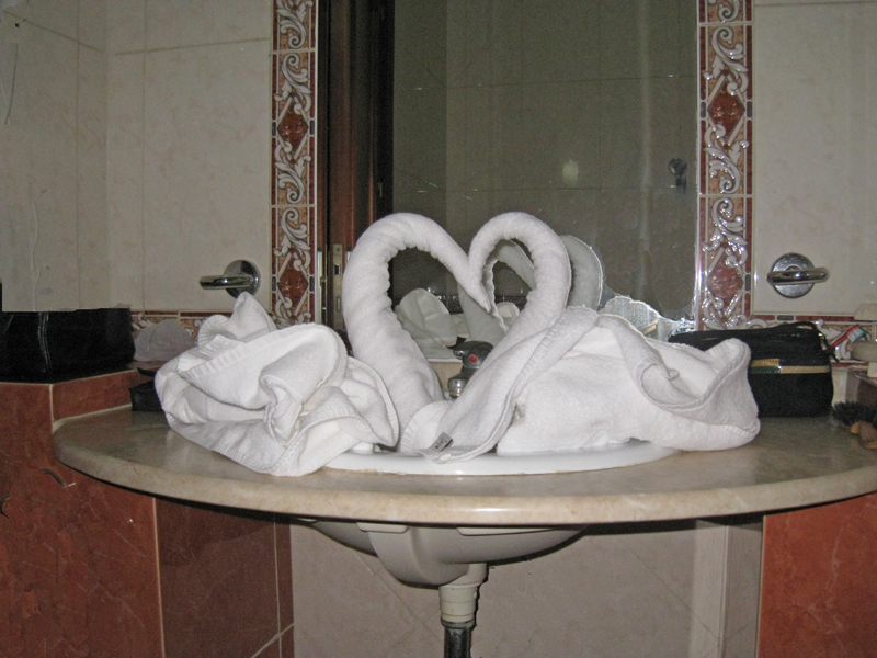 Swans in a sink.jpg