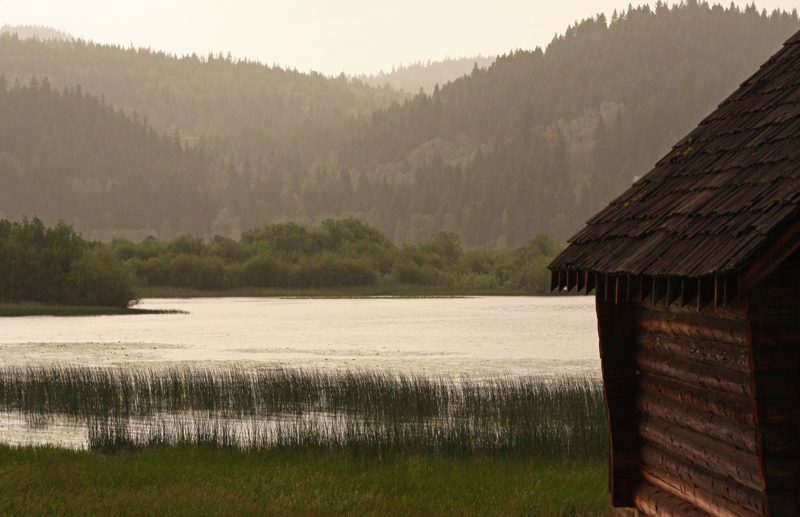 Canim Lake morning.jpg