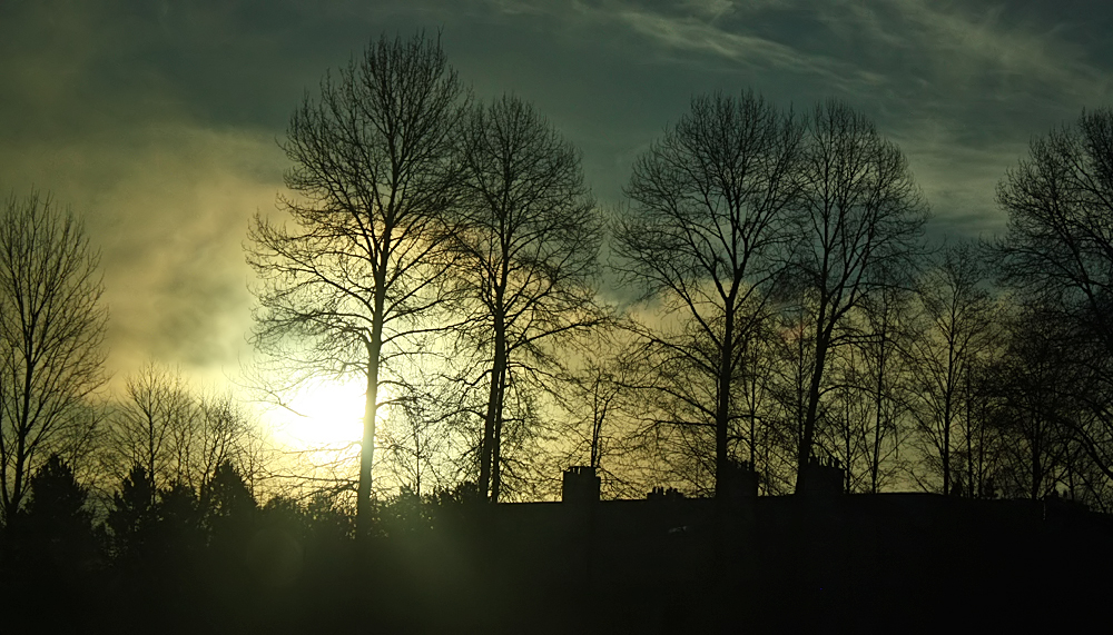 City Morning3.jpg