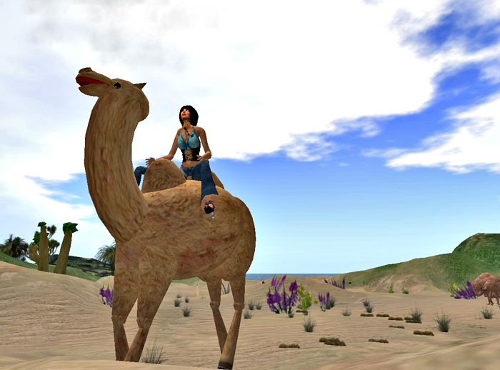 Africa Camel Ride