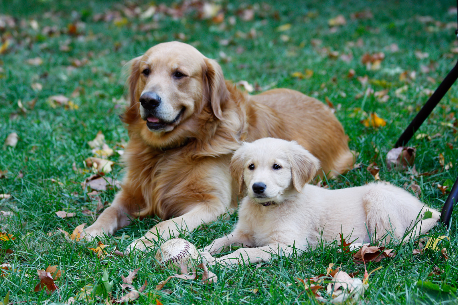 best friends