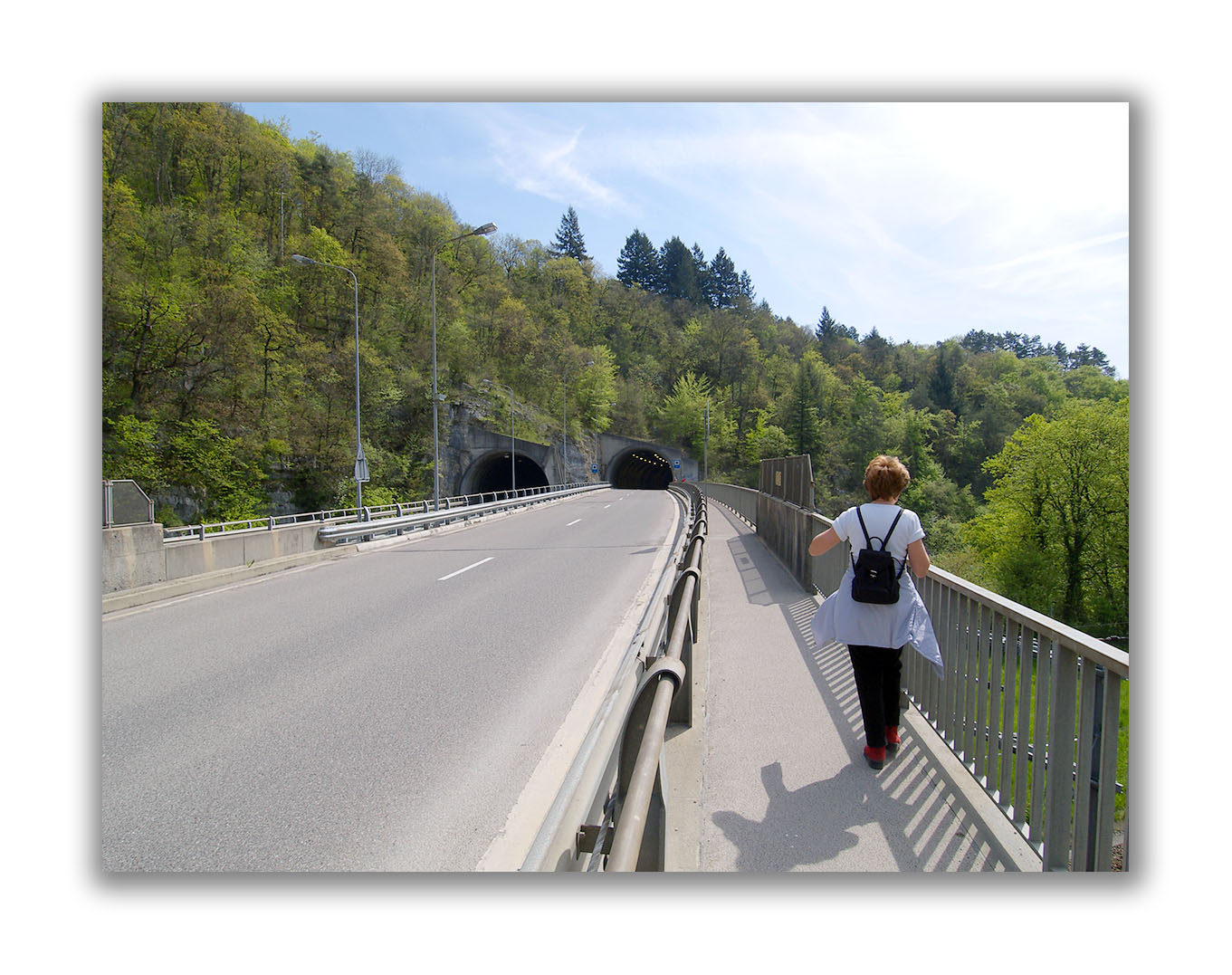 Pont en direction du parc zoologique de Boujean