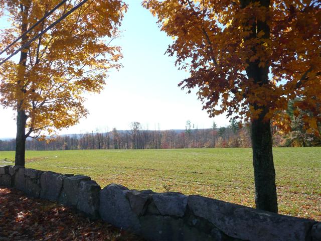 P1030260 (Small).JPG