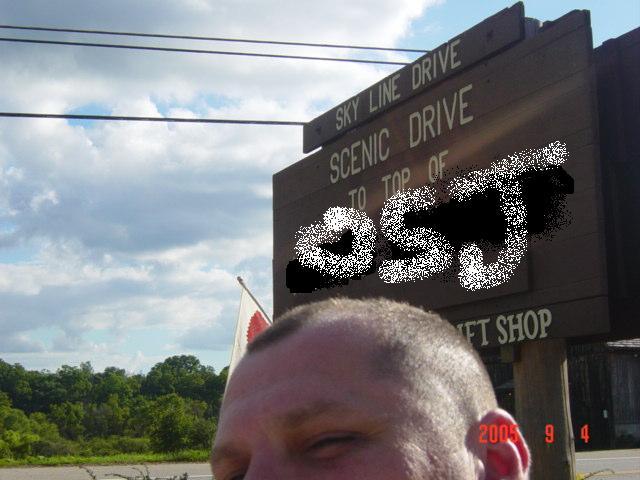 fsggtr Small.JPG