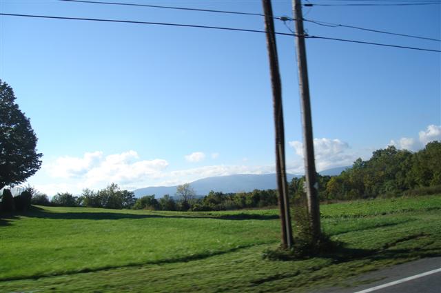 DSC01308 (Small).JPG